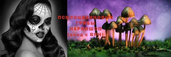 спайс Барнаул