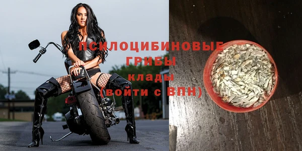 мдпв Коряжма