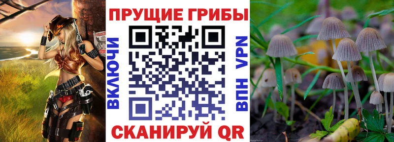 Псилоцибиновые грибы прущие грибы  Серпухов 
