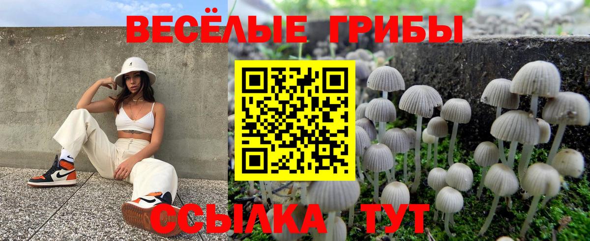 Галлюциногенные грибы мухоморы Серпухов